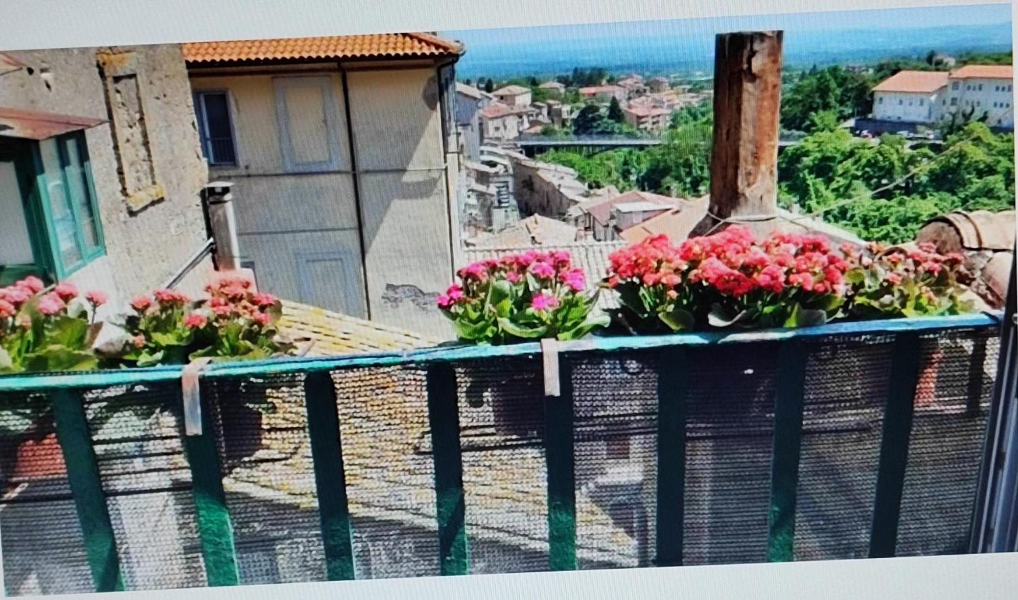 Apartmán La Casa Del Sole Caprarola Exteriér fotografie